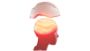 mm-ast-icon-1435